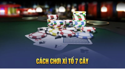 Hướng dẫn các cách chơi xì tố 7 cây hay và chính xác nhất